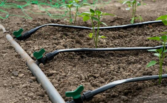 Rola systemów nawadniających w ochronie ogrodowego środowiska