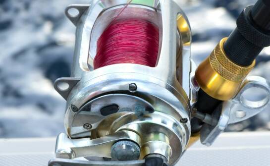 Kołowrotek Rex – jak zwiększyć jego wydajność podczas połowów?