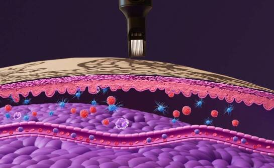 Jakie elementy limfy wspierają procesy odnowy skóry?