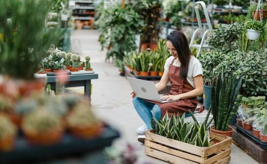 Wsparcie wirtualnej asystentki przy przygotowywaniu treści i grafik do social media