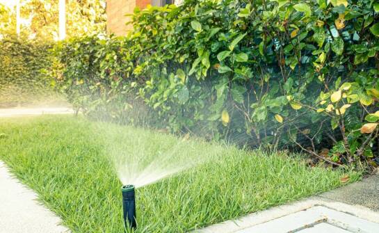 Jak automatyczne podlewanie wspiera rozwój ozdobnych roślin?