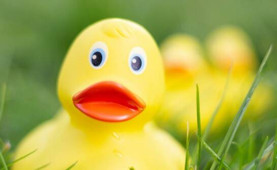 Basen dla kaczek i jego wpływ na społeczne interakcje pacjentów