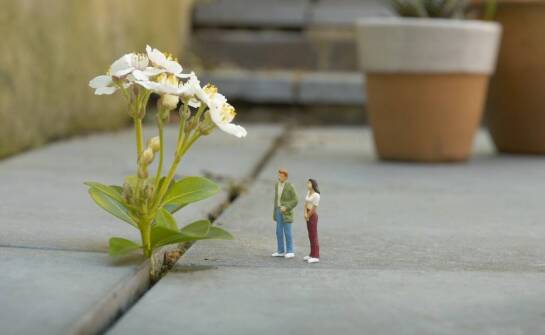 Sztuka w ogrodzie - rola ceramicznych figurek w kreowaniu przestrzeni