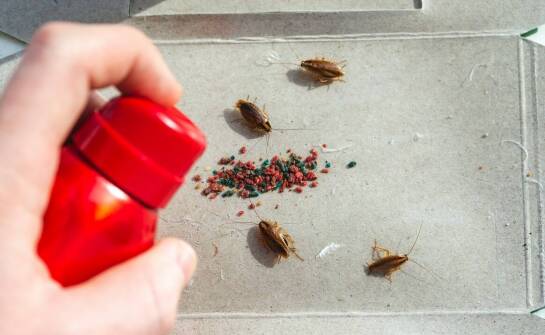 Jak działają produkty zabezpieczające przed owadami?