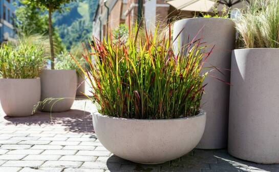 Dlaczego warto postawić na duże personalizowane donice ogrodowe?