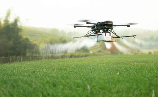 Nowoczesna automatyzacja oprysków malin dzięki technologiom