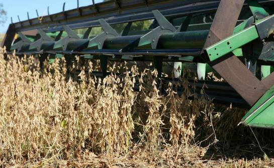 Jakie są kluczowe cechy sit dla kombajnów na wymiar?