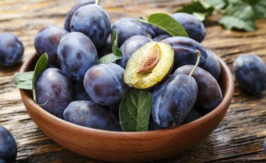 Śliwa Kometa – wyjątkowe właściwości i zastosowanie w kuchni