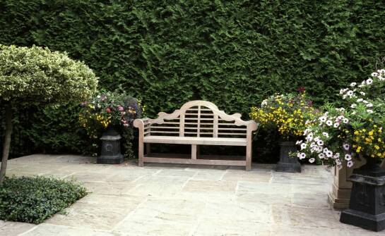 Projektowanie ogrodów: jak połączyć funkcjonalność z estetyką?