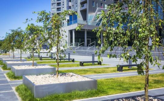 Zastosowanie drewnianych donic w przestrzeniach publicznych