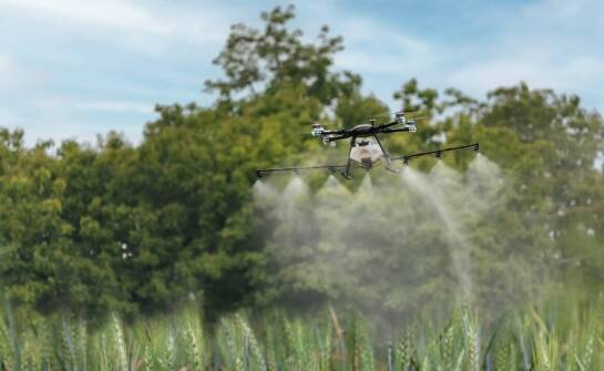 Jakie są najnowsze trendy w uprawie ozimej pszenicy?