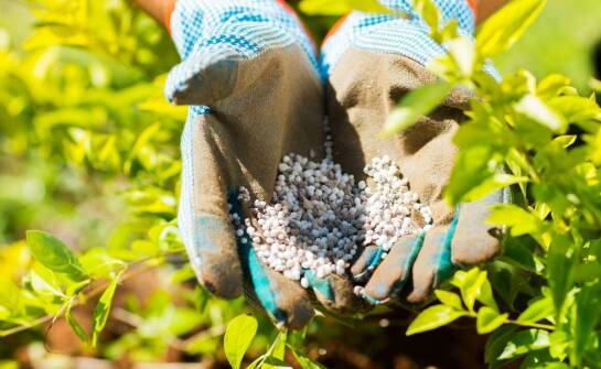 Letnie nawozy do trawy jako element zrównoważonego ogrodnictwa