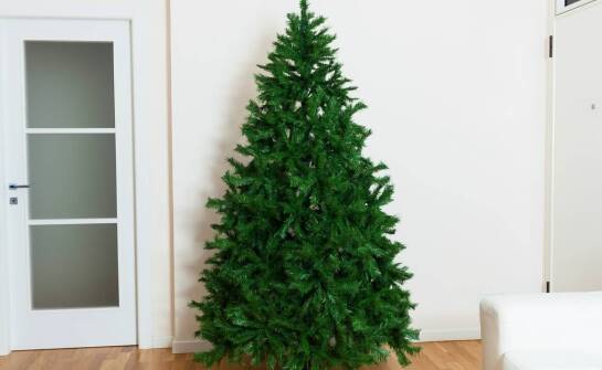 Jak choinka na długim pniu wpływa na estetykę we wnętrzu?