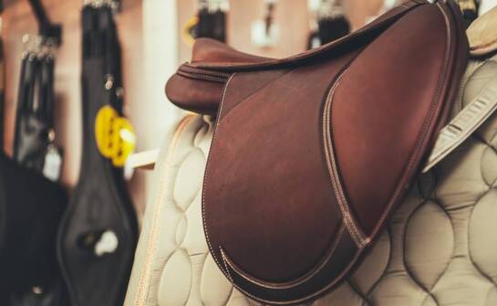 Wpływ promocji na wybór produktów jeździeckich przez klientów