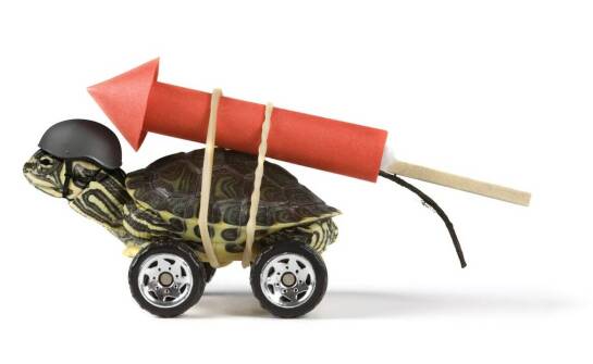 Jakie umiejętności rozwija żółwik Fisher Price u dzieci w wieku przedszkolnym?