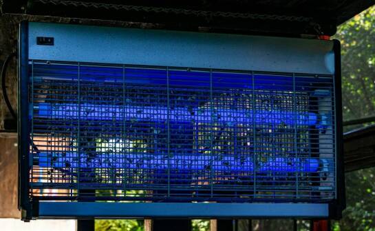 Porównanie skuteczności ultradźwiękowych i elektromagnetycznych odstraszaczy