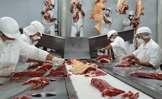 Zakłady przetwórstwa mięsnego a innowacyjne metody produkcji mięsa