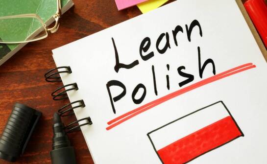 Jakie są zalety korzystania z jednojęzycznych książek w nauce języków romańskich?