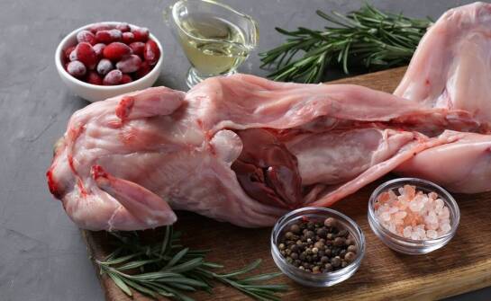 Jak surowe mięso królika wspomaga zdrowie i witalność pupila?