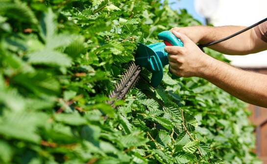 Zalety korzystania z Bosch Isio w pracach przydomowych