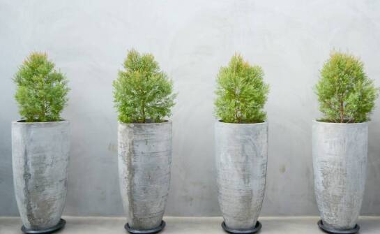 Różnorodność kształtów betonowych donic: od okrągłych po trójkątne