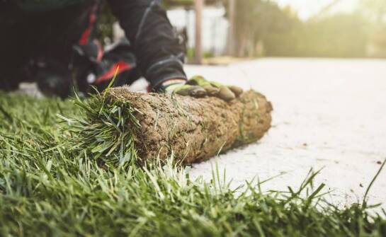 Rolowane trawniki a poprawa retencji wody w miejskich ogrodach