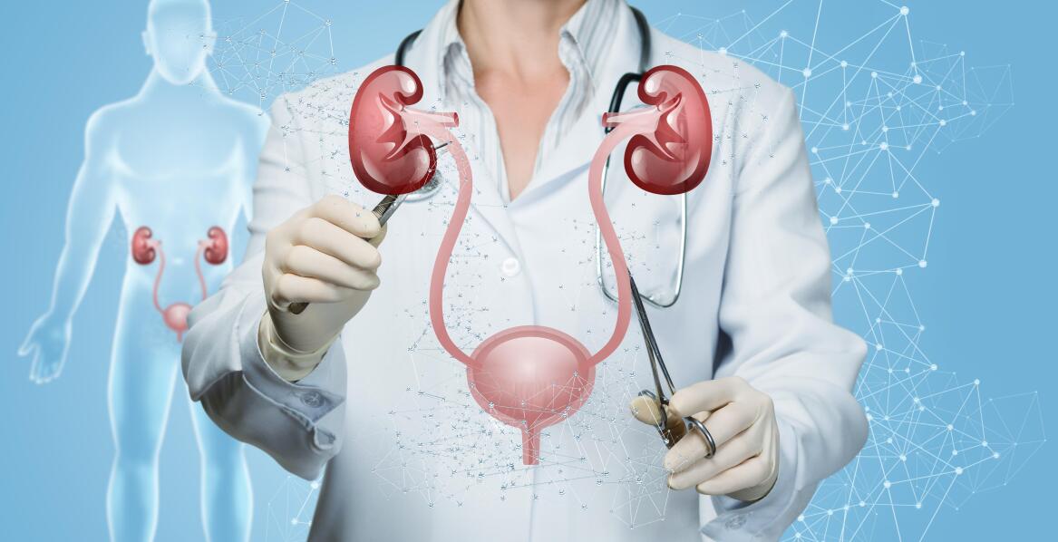 Diagnostyka i leczenie chorób układu moczowo-płciowego