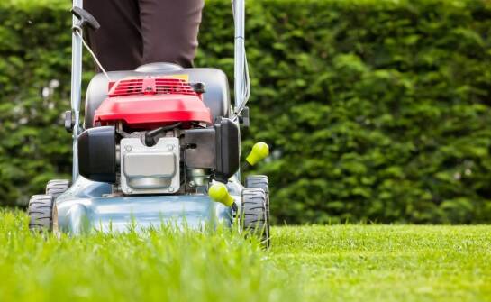 Optymalizacja pracy w ogrodzie dzięki spalinowym maszynom