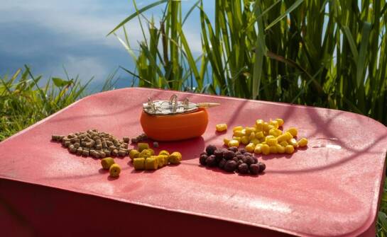 Bezglutenowe karmy dla psów – dlaczego warto je uwzględnić w diecie?