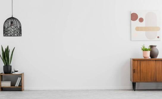 Sansewieria Coppertone w minimalistycznych aranżacjach – inspiracje i pomysły