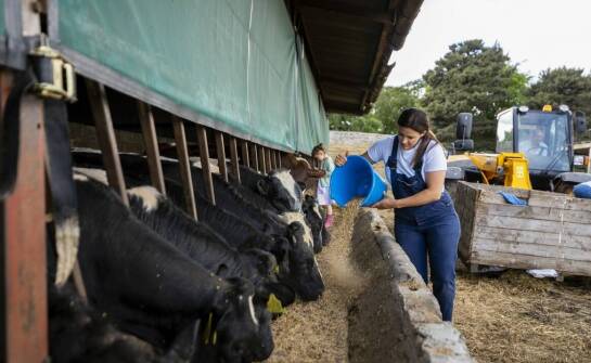 Pojemniki na paszę dla zwierząt – innowacje i trendy