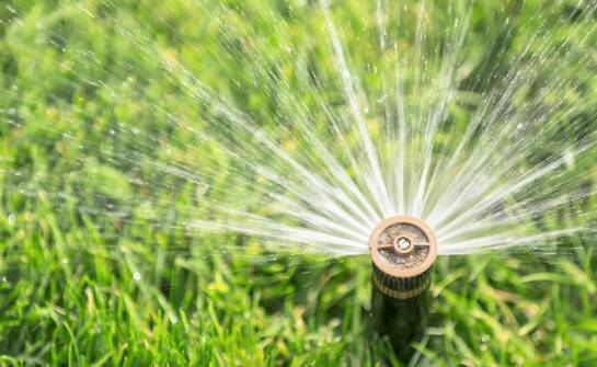 Wpływ nowoczesnych technologii Rain Bird na pielęgnację w ogrodzie