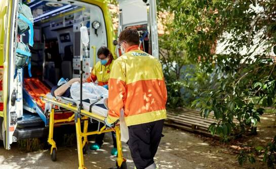 Jak szybko reagujemy na nagłe przypadki zdrowotne u zwierząt?