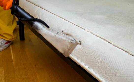 Jakie zalety ma kompleksowe podejście do zwalczania pluskiew w mieszkaniach?