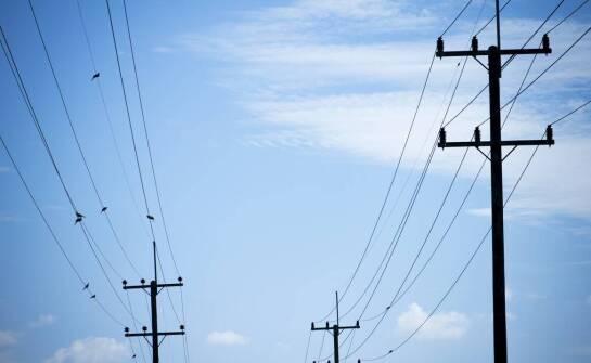 Nasze sieci a ochrona chronionych gatunków – jak to robimy?