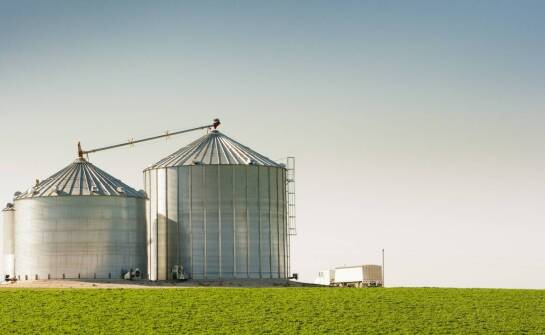 Optymalne warunki do przechowywania zbóż w nowoczesnych magazynach