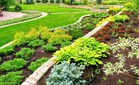 Automatyzacja jako klucz do oszczędności czasu w systemach podlewania w ogrodzie