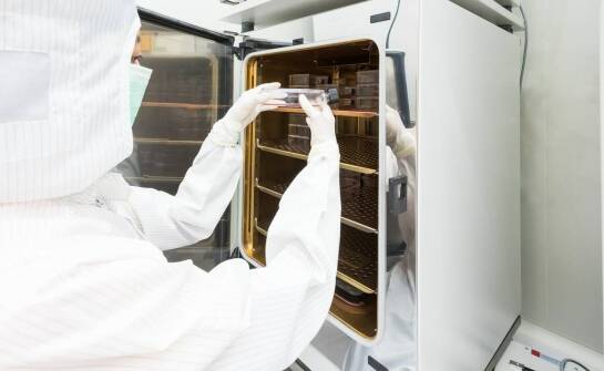 Skuteczne metody deratyzacji w farmaceutycznej branży