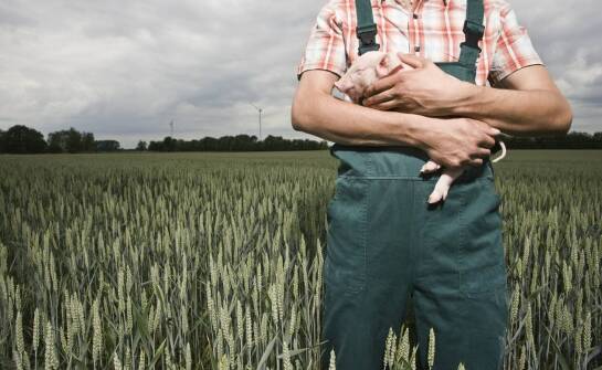Ubezpieczenia rolne – jak angrot zabezpiecza rolników przed naturalnymi ryzykami?