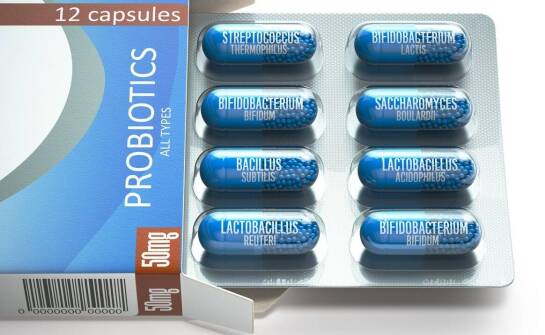 Jakie składniki zawierają probiotyki?