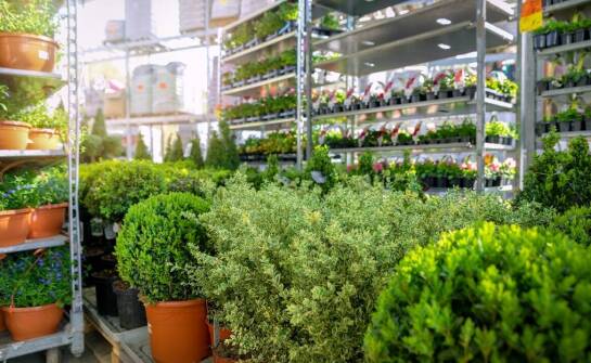 Najczęstsze problemy z używaniem podpórek do kwiatów w Obi i jak je rozwiązać