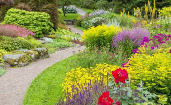 Berberysy – jak wykorzystać ich kolorystyczną różnorodność w ogrodzie?