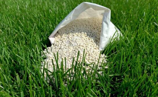 Wybór regeneracyjnego nawozu do trawy na różne typy gleby
