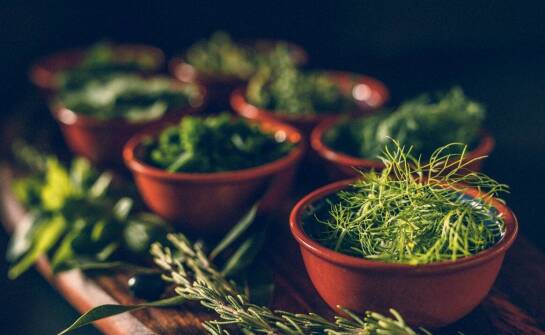 Jakie podłoża najlepiej nadają się do uprawy ziół w doniczkach?