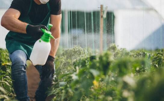 Jakie cechy powinny mieć skuteczne środki do zwalczania szkodników w ogrodzie?
