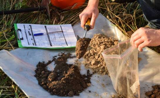 Jakie są wyzwania związane z oceną struktury gleby w raportach środowiskowych?