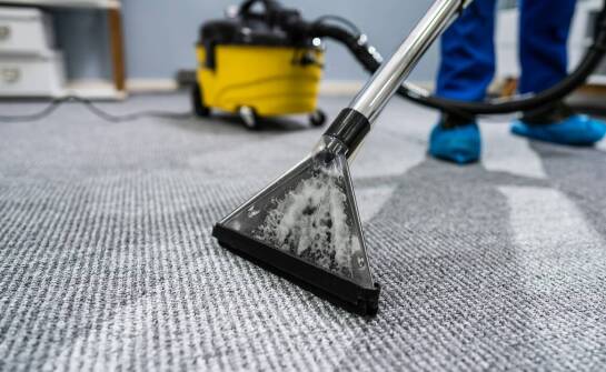 Jak dbamy o bezpieczeństwo zwierząt w trakcie prania dywanów?