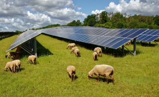 Jak nowoczesne technologie wpływają na rozwój pastwiskowych poideł?