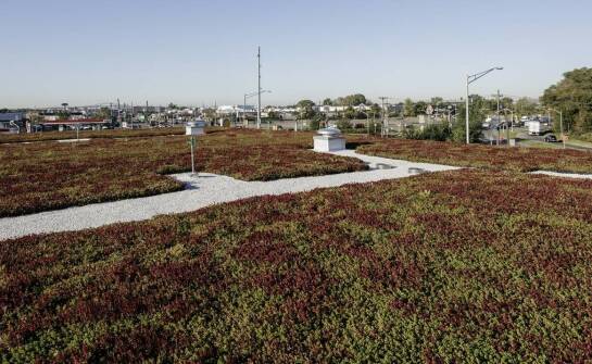 Rola systemów nawadniających w utrzymaniu zdrowych roślin we Wrocławiu