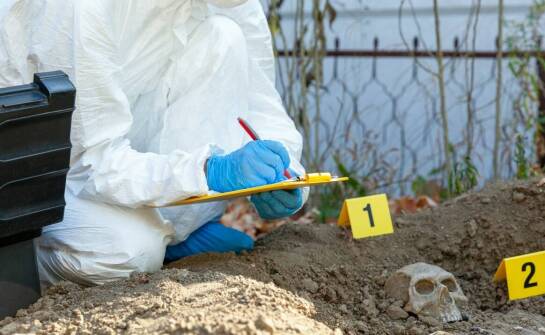 Jak przebiega konsultacja z specjalistami w zakresie ekshumacji?